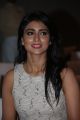 Actress Shriya saran @ SIIMA Awards Curtain Raiser Press Meet Stills