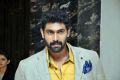 Rana Daggubati @ SIIMA Press Meet 2014 Stills @ Chennai