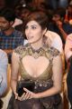 Naaz Norouzi @ SIIMA Short Film Awards 2017 Photos