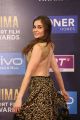 Sarah Hopkins @ SIIMA Short Film Awards 2017 Photos