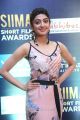 Actress Pranitha Subhash @ SIIMA Short Film Awards 2017 Photos