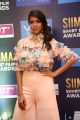 Lakshmi Manchu @ SIIMA Short Film Awards 2017 Photos