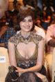 Naaz Norouzi @ SIIMA Short Film Awards 2017 Photos