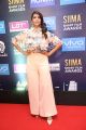 Lakshmi Manchu @ SIIMA Short Film Awards 2017 Photos