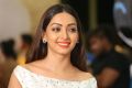 Pooja Salvi @ SIIMA Short Film Awards 2017 Photos