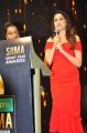 Pragya Jaiswal @ SIIMA Short Film Awards 2018 Curtain Raiser Stills