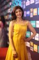 Pranitha Subhash @ SIIMA Short Film Awards 2018 Curtain Raiser Stills