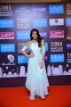 Nikki Galrani @ SIIMA Short Film Awards Chennai Stills