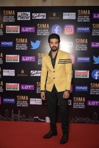 Adith Arun @ SIIMA 2021 Awards Red Carpet Day 2 Pics