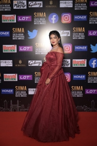 Sonika Gowda @ SIIMA 2021 Awards Red Carpet Day 2 Pics