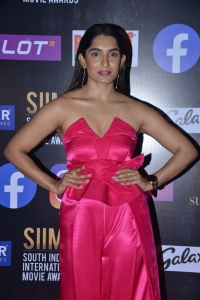 SIIMA Awards 2021 Red Carpet Day 1 Photos