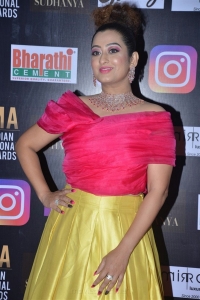 SIIMA Awards 2021 Red Carpet Day 1 Photos