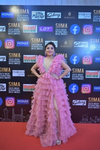 Karunya Ram @ SIIMA Awards 2021 Red Carpet Day 1 Photos