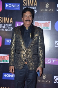 SIIMA Awards 2021 Red Carpet Day 1 Photos