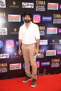 SIIMA Awards 2021 Red Carpet Day 1 Photos