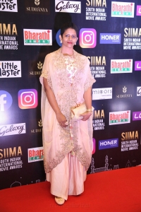 SIIMA Awards 2021 Red Carpet Day 1 Photos