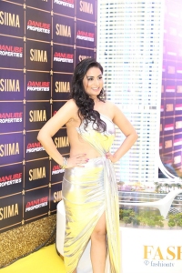 SIIMA 2023 Red Carpet Photos