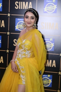 SIIMA 2023 Red Carpet Photos