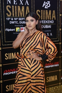 SIIMA 2023 Red Carpet Photos