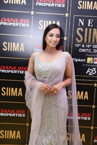 Srinidhi Shetty @ SIIMA 2023 Red Carpet Photos