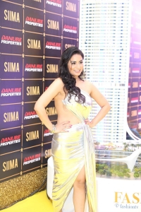 SIIMA 2023 Red Carpet Photos