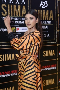 SIIMA 2023 Red Carpet Photos