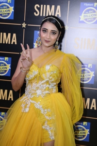 SIIMA 2023 Red Carpet Photos