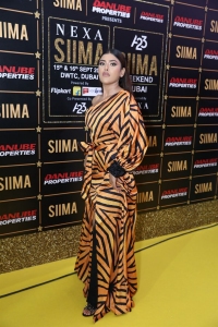 SIIMA 2023 Red Carpet Photos