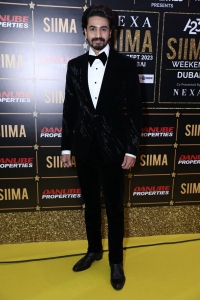 SIIMA 2023 Red Carpet Photos