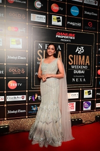 Srinidhi Shetty @ SIIMA 2023 Red Carpet Photos