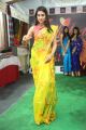 Nikitha Chaturvedi @ Silk India Expo Fashion Show at Sri Satya Sai Nigamagamam Photos