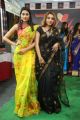 Nikitha Chaturvedi @ Silk India Expo Fashion Show at Sri Satya Sai Nigamagamam Photos