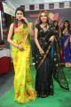 Nikitha Chaturvedi @ Silk India Expo Fashion Show at Sri Satya Sai Nigamagamam Photos