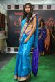 Harathi Honey @ Silk India Expo Fashion Show at Sri Satya Sai Nigamagamam Photos