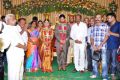 J.Mahendran,Radha Mohan at Director Simbudevan Wedding Photos