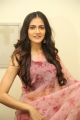 Heroine Simran Choudhary Pictures @ Ee Nagaraniki Emaindi Pre Release