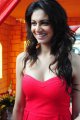 Simran Kaur Mundi Hot Spicy Pics