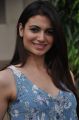 Simran Kaur Mundi Hot Pictures @ Potugadu Team Interview