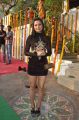 Actress Simran Suri Hot Photos at Biscuit Movie Launch