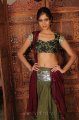 Sindhu Affan Hot Photo Shoot Stills