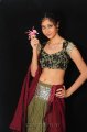 Sindhu Affan Hot Photo Shoot Stills