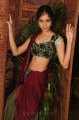 Sindhu Affan Hot Photo Shoot Stills