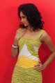 Sindhu Affan Hot Photo Shoot Stills