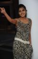 Sindhu Loknath Hot Photos at Coffee With My Wife Audio Launch