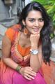 Actress Sindhu Loknath Hot Photoshoot Pics