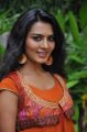 Telugu Actress Sindhu Loknath Photoshoot Pics