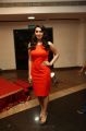 hansika motwani At Singam 2 Movie Audio Launch Stills