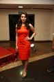 hansika motwani At Singam 2 Movie Audio Launch Stills