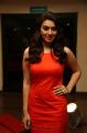 hansika motwani At Singam 2 Movie Audio Launch Stills