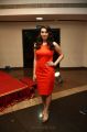 hansika motwani At Singam 2 Movie Audio Launch Stills